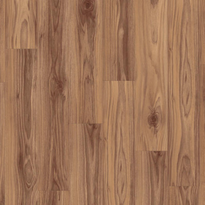 American Walnut CINNAMON