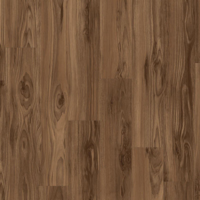 American Walnut MARRON