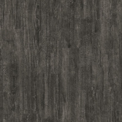 Charred Wood BLACK