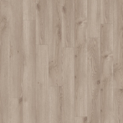 Contemporary Oak GREGE