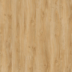 English Oak CLASSICAL