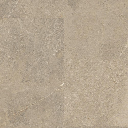 Sediment BEIGE