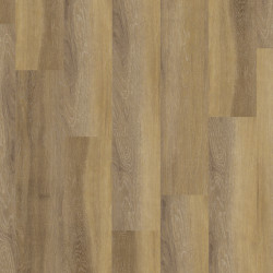 DESIGN 555 2,5mm/NS 0,55mm Dryback