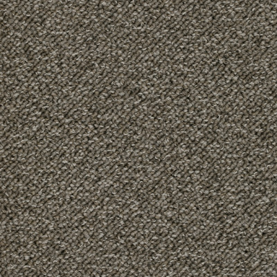 Teppichboden TERRA 500 cm Trend 026