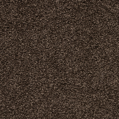 Teppichboden ZIRKONIA 500 cm Trend 026