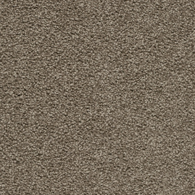 Teppichboden ZIRKONIA 500 cm Trend 026